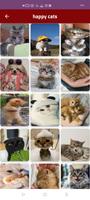 dog happy : cat happy :animals پوسٹر