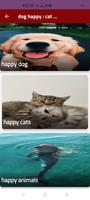 dog happy : cat happy :animals اسکرین شاٹ 2