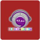 Onine Radio APK