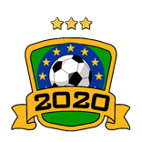 EURO 2020 Coach