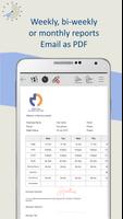Timesheet PDF screenshot 2