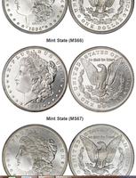 Grade Your Coins - Photo Grade Cartaz