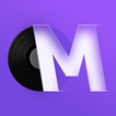 MD Vinyl - Music widget