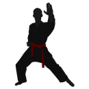 shaolins kungfu retro APK