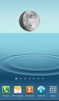 Lunar Phase Affiche