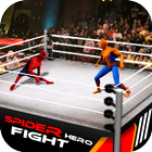 Icona Superhero VS Spider Hero combattere la vendetta
