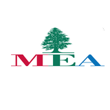 Middle East Airlines-Air Liban simgesi