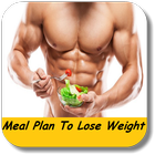 Plan repas pour perdre du poids icône