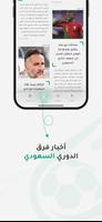 اخبار الدوري скриншот 3