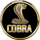 آیکون‌ Cobra 2023