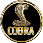 Cobra 2023 ícone