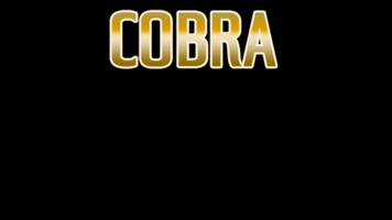 Cobra 2023 poster