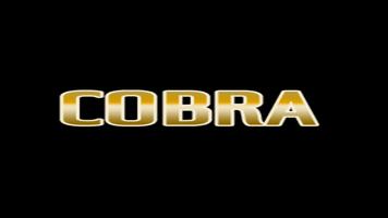 Cobra 2023 capture d'écran 1