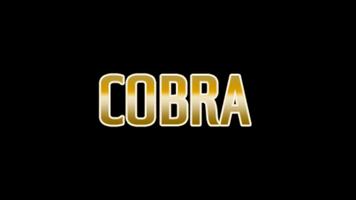 Cobra 2023 capture d'écran 3