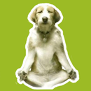 Musica para Relaxar APK