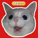 Memes Graciosos de Gatos APK