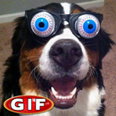 Gifs de Perros Graciosos-APK