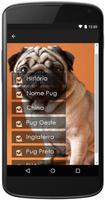 Pug ảnh chụp màn hình 1