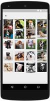 Puzzles de Cachorros gratis ảnh chụp màn hình 1