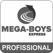 Megaboys - Profissional