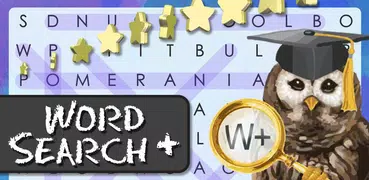 Word Search +