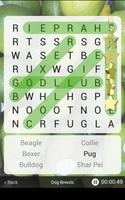 Word Search + imagem de tela 2