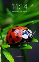 Beautiful Ladybug HD Lock Screen poster
