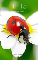 Beautiful Ladybug HD Lock Screen capture d'écran 2