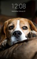 Cute Beagle Lock Screen Affiche