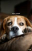 Cute Beagle Lock Screen screenshot 1