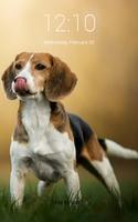 Cute Beagle Lock Screen اسکرین شاٹ 2