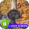 Labrador Retriever HD Lock Screen