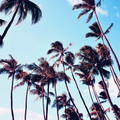 Palm Lock Screen