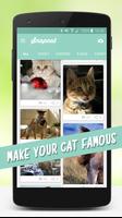 Cat Wallpapers 🐈 Affiche