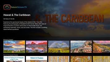 1 Schermata NatureStream.TV Ambient Nature Films & Art