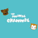 The Animal Channel APK