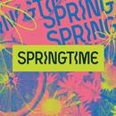 APK SPRINGTIME Festival