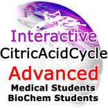 ”Citric Acid Cycle Advanced Qui