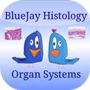 Organ Flashcards: Histology APK