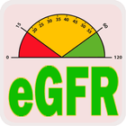 GFR & BSA Calculator biểu tượng