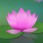 Learn to Meditate 5 Wk Course icône