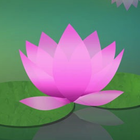 Learn to Meditate 5 Wk Course icon