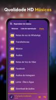 Reprodutor De Música Offline imagem de tela 3