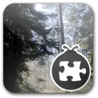 Lightning Bug - Forest Pack icono