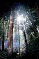 Lightning Bug - Jungle Pack Screenshot 2