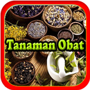 Tanaman Obat, Jenis dan fungsi obat herbal APK