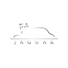 Jaguar Distribution Corp 圖標