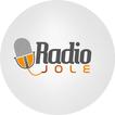 Radio Jole icon