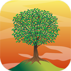 Money Tree icône