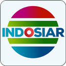 tv indonesia - indosiar tv APK